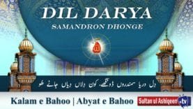 Kalam e Bahoo | Dil Dariya Samandron Dongey Kon Dilaan | (78/201)