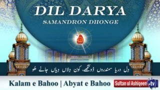 Kalam e Bahoo | Dil Dariya Samandron Dongey Kon Dilaan | (78/201)