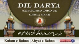 Kalam e Bahoo | Dil Dariya Samandron Dongha | (79/201)