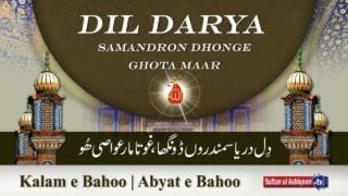 Kalam e Bahoo | Dil Dariya Samandron Dongha | (79/201)