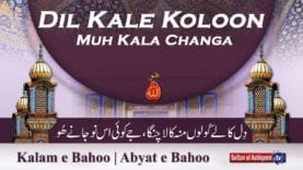 Kalam e Bahoo | Dil Kale Koloon Muh Kala Changa | (82/201)