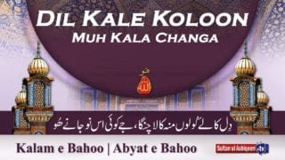 Kalam e Bahoo | Dil Kale Koloon Muh Kala Changa | (82/201)