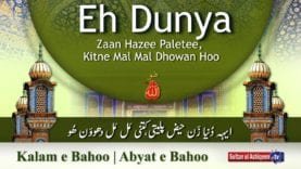 Kalam e Bahoo | Eh Dunya Zaan Hazee Paletee