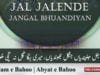 Kalam e Bahoo | Jal Jalende Jangal Bhuandiyan | (71/201)