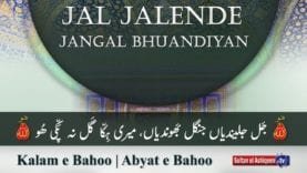 Kalam e Bahoo | Jal Jalende Jangal Bhuandiyan | (71/201)