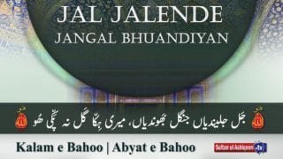 Kalam e Bahoo | Jal Jalende Jangal Bhuandiyan | (71/201)