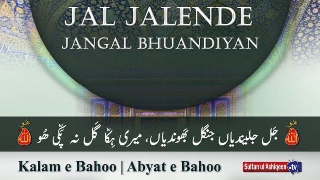 Kalam e Bahoo | Jal Jalende Jangal Bhuandiyan | (71/201)