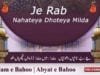 Kalam e Bahoo | Je Rab Nahateya Dhoteya Milda (66/201)