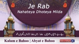 Kalam e Bahoo | Je Rab Nahateya Dhoteya Milda (66/201)