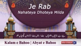 Kalam e Bahoo | Je Rab Nahateya Dhoteya Milda (66/201)