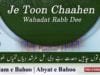 Kalam e Bahoo | Je Toon Chaahen Wahadat Rabb Dee
