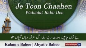 Kalam e Bahoo | Je Toon Chaahen Wahadat Rabb Dee