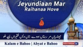 Kalam e Bahoo | Jeyunde Mar Rahna Hove | (65/201)