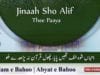 Kalam e Bahoo | Jinaah Sho Alif Thee Paaya | (67/201)