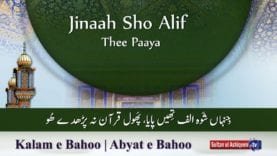 Kalam e Bahoo | Jinaah Sho Alif Thee Paaya | (67/201)
