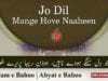 Kalam e Bahoo | Jo Dil Mange Hove Naaheen