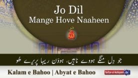 Kalam e Bahoo | Jo Dil Mange Hove Naaheen