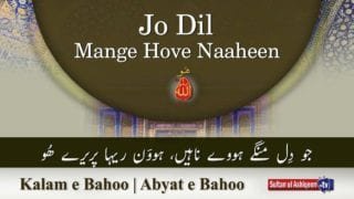 Kalam e Bahoo | Jo Dil Mange Hove Naaheen
