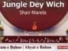 Kalam e Bahoo | Jungle Dey Wich Shair Marela , Baaz Poway Wich Ghar Dey Hoo