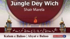 Kalam e Bahoo | Jungle Dey Wich Shair Marela , Baaz Poway Wich Ghar Dey Hoo