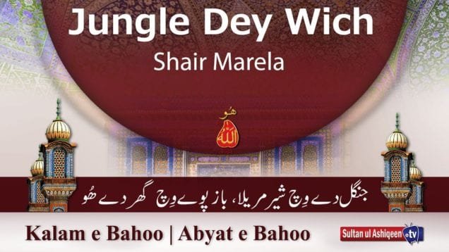 Kalam e Bahoo | Jungle Dey Wich Shair Marela , Baaz Poway Wich Ghar Dey Hoo