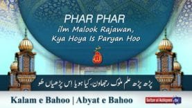 Kalam e Bahoo | Parh Parh ilm Malook Rajawan, Kya Hoya Is Paryan Hoo | Sultan Bahoo