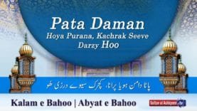 Kalam e Bahoo  |  Pata Daman Hoya Purana | Sultan Bahoo (40/201)