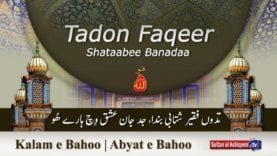 Kalam e Bahoo | Tadoon Faqeer Shatabi Banda, Jad Jaan Ishq Wich Haare Hoo