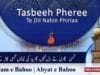 Kalam e Bahoo | Tasbeeh Phiri Te Dil Nain Phirya , Kee Lainaa Tasbeeh Pharh Ke Hoo