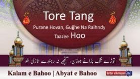 Kalam e Bahoo | Tore Tang Purane Howan, Dil Vich Khaas Mahalla Hoo