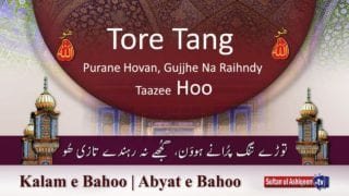 Kalam e Bahoo | Tore Tang Purane Howan, Dil Vich Khaas Mahalla Hoo