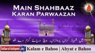 Main Shahbaaz Karan Parwaazan Wich Darya e Karam De Hoo