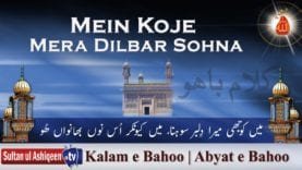 Mein Koje Mera Dilbar Sohna