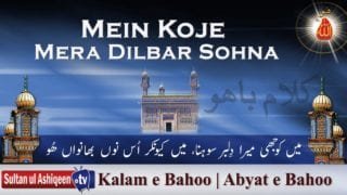 Mein Koje Mera Dilbar Sohna