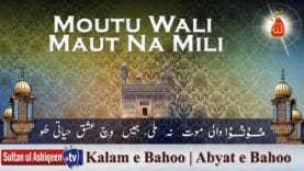 Moutu Wali Maut Na Mili