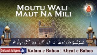 Moutu Wali Maut Na Mili