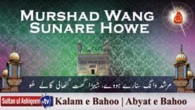 Murshad Wang Sunare Howe