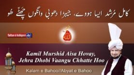 Murshid Aisa Hovay Jehra Dhobi Vaangu Chhatte Hoo