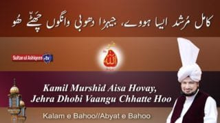 Murshid Aisa Hovay Jehra Dhobi Vaangu Chhatte Hoo
