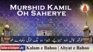 Murshid Kamil Oh Saherye