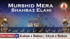 Murshid Mera Shahbaz Elahi