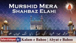 Murshid Mera Shahbaz Elahi