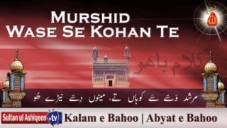 Murshid Wase Se Kohan Te