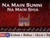 Na Main Sunni Na Main Shia