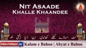 Nit Asaade Khalle Khaandee