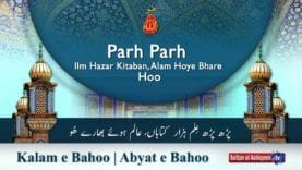 Parh Parh Ilm Hazar Kitaban, Alam Hoye Bhare Hoo