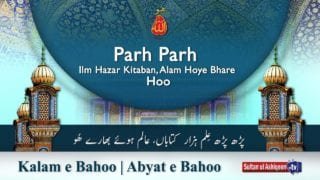 Parh Parh Ilm Hazar Kitaban, Alam Hoye Bhare Hoo
