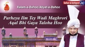 Parhya Ilm Te Wadi Maghrori, Aqal ve Ghaya Taloha Hoo