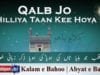 Qalb Jo Hilliya Taan Kee Hoya