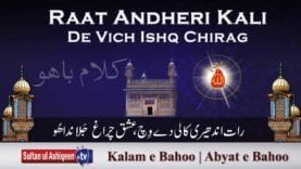 Raat Andheri Kali De Vich Ishq Chirag Jalanda Hoo (100/201)